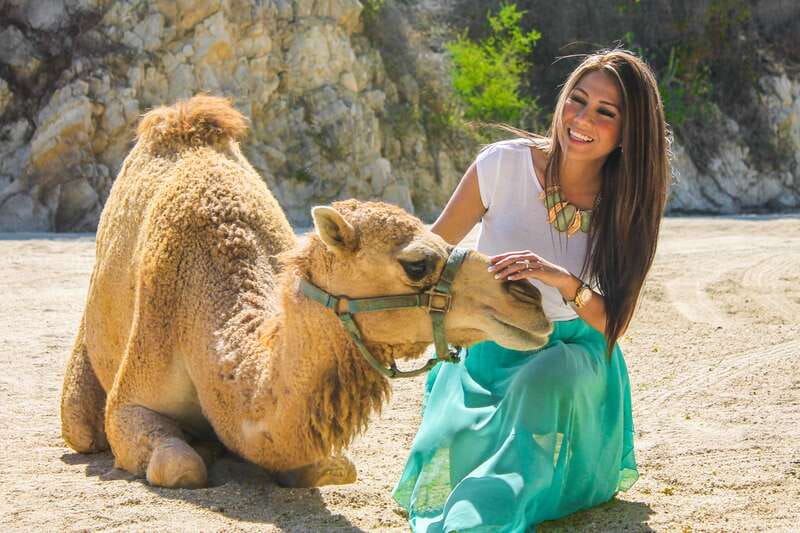 Los Cabos: Camel Ride in the Canyon & Thrilling Water-Slides - How the three-hour schedule feels