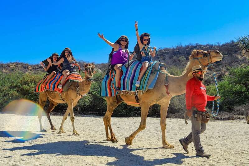 Los Cabos: Camel Ride in the Canyon & Thrilling Water-Slides - Who will enjoy this most