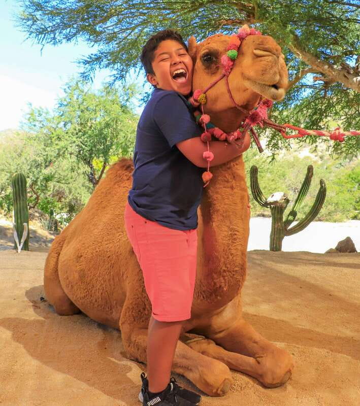 Los Cabos: Camel Ride in the Canyon & Thrilling Water-Slides - Price, value, and the costs beyond $115