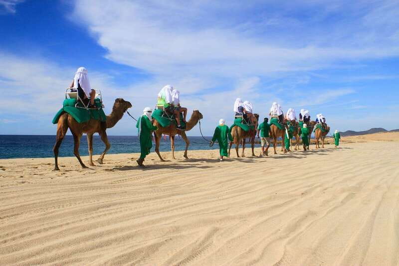 Los Cabos: Camel Ride Safari with Lunch and Tequila Tasting - Should you book the camel safari?