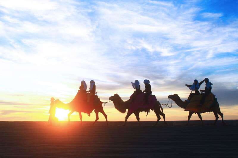 Los Cabos: Camel Ride Safari with Lunch and Tequila Tasting - A camel ride with the Pacific in view