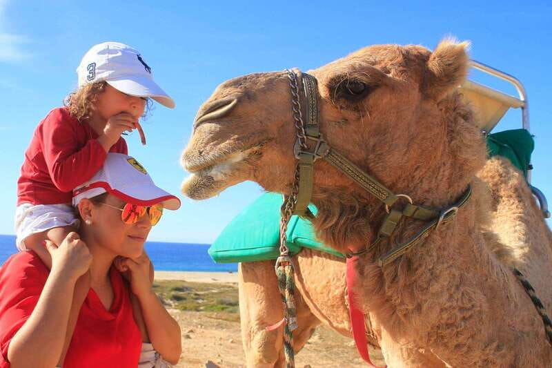 Los Cabos: Camel Ride Safari with Lunch and Tequila Tasting - What the desert walk adds
