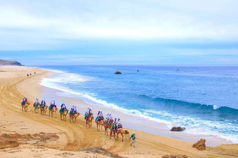 Los Cabos: Camel Ride Safari with Lunch and Tequila Tasting - A straightforward Mexican lunch