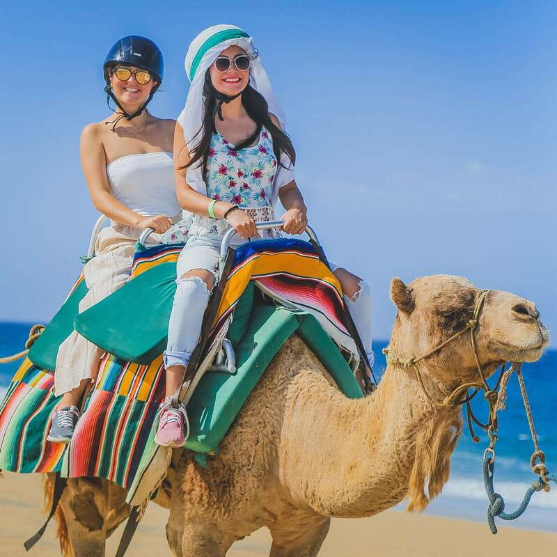 Los Cabos: Camel Ride Safari with Lunch and Tequila Tasting - Tequila explained, not just poured