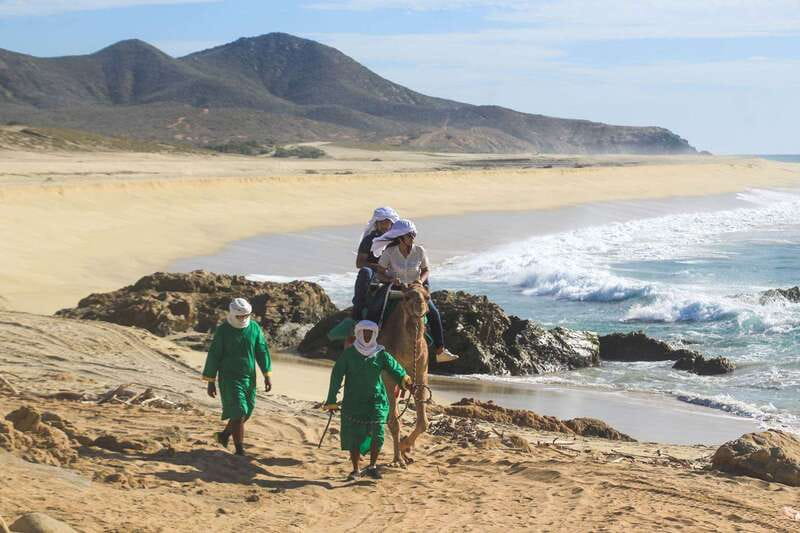 Los Cabos: Camel Ride Safari with Lunch and Tequila Tasting - Timing, photos, and what to bring