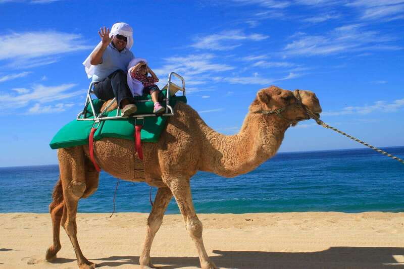 Los Cabos: Camel Ride Safari with Lunch and Tequila Tasting - Who should book this Los Cabos outing?