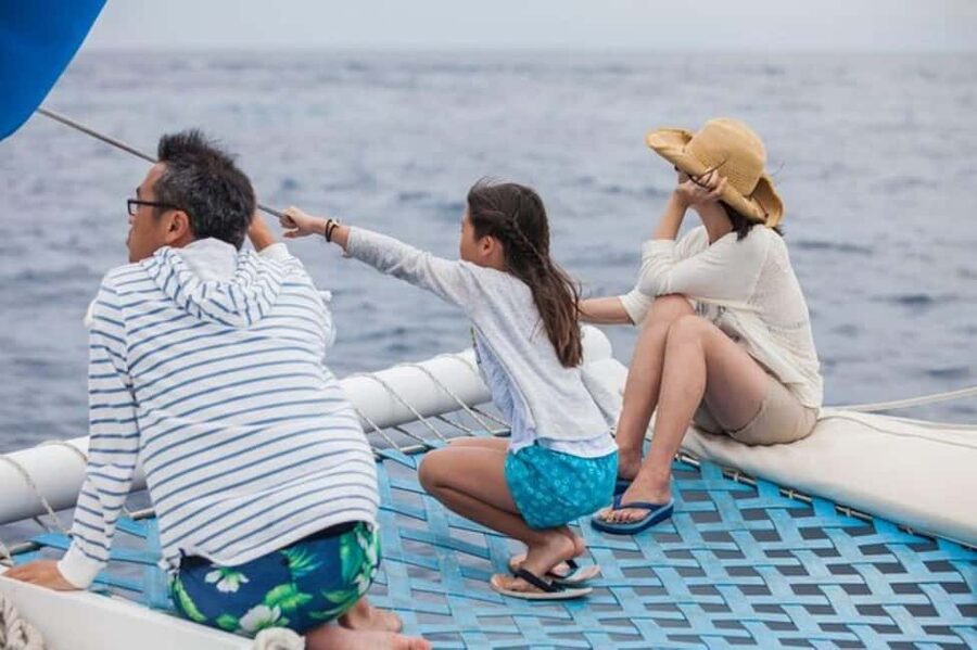 Los Cabos: Catamaran Whale Watching Cruise - Cabo’s Arch and the coastline