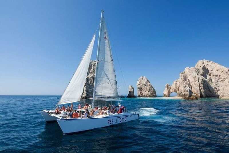 Los Cabos: Catamaran Whale Watching Cruise - What the $95 price really covers