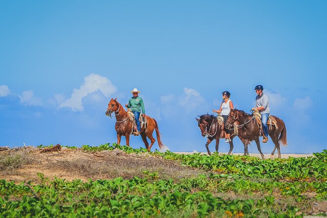 Los Cabos Combo: ATV + Horseback Riding - Horseback riding beside the Pacific