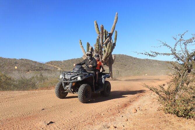 Los Cabos - COMBO Horseback Riding & ATV Tour - Who should book this combination?