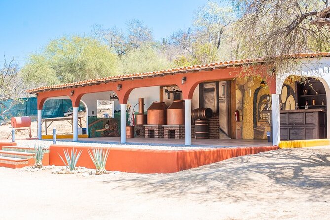 Los Cabos Costa Azul Zipline Eco-Adventure - Who will enjoy this tour most