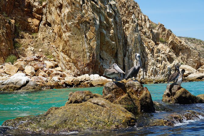 Los Cabos Deluxe City Tour: San Jose, San Lucas and The Arch - Group size, transport, and pace