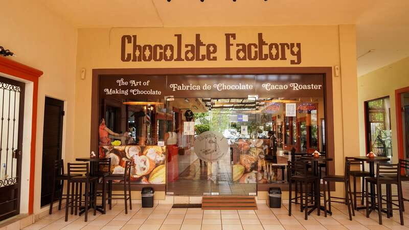 Los Cabos Famous Arch cruise, City tour and Lunch - Learning about cacao at the chocolate factory