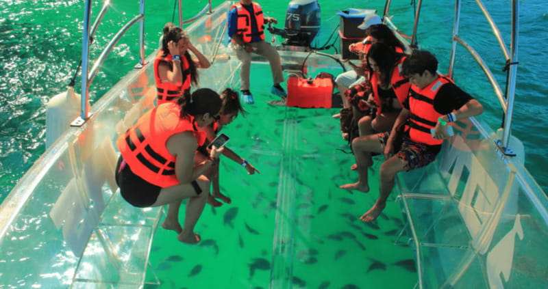 Los Cabos: Get to know the arch on the iconic transparent boat tour - The Arch of Cabo San Lucas: the centerpiece