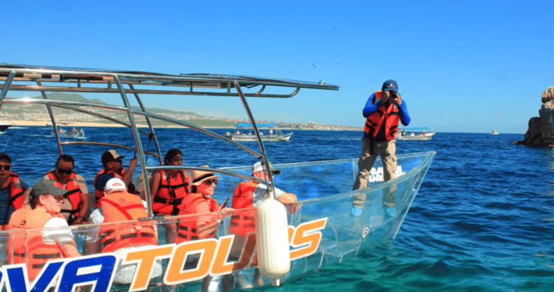 Los Cabos: Get to know the arch on the iconic transparent boat tour - Looking below the boat for fish and reefs