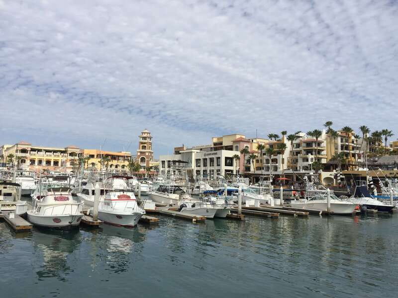 Los Cabos: Half-Day San Lucas and San Jose Tour - Tequila Tasting With Context