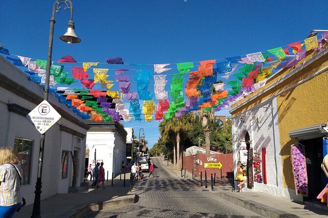 Los Cabos Half-Day Tour Discovering San Jose and San Lucas - Why this tour works as a first look at Los Cabos