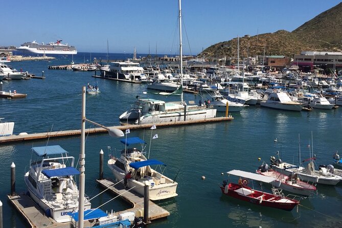 Los Cabos Half-Day Tour Discovering San Jose and San Lucas - Cabo San Lucas plazas and the marina