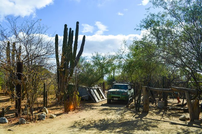 Los Cabos: Hiking at the Fox Canyon with Waterfall - Finding the Plaza Gali meeting point