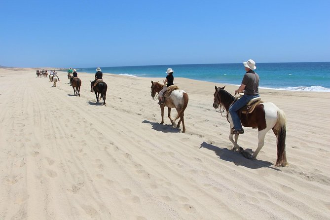 Los Cabos Horseback Riding - Playa Migrino and the beach ride