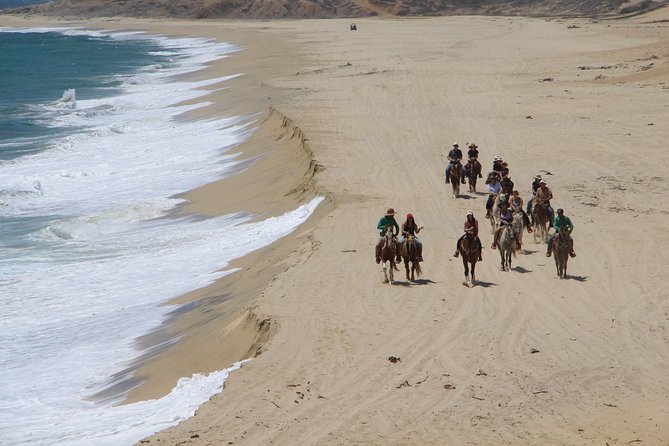 Los Cabos Horseback Riding - Guides who shape the experience