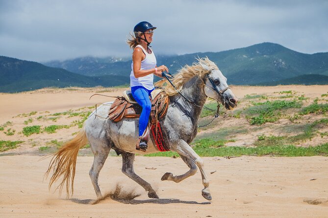 Los Cabos Horseback Riding - Who will enjoy this ride most