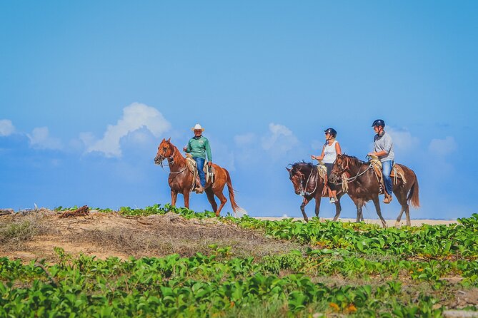 Los Cabos Horseback Riding - Practical details that affect your day