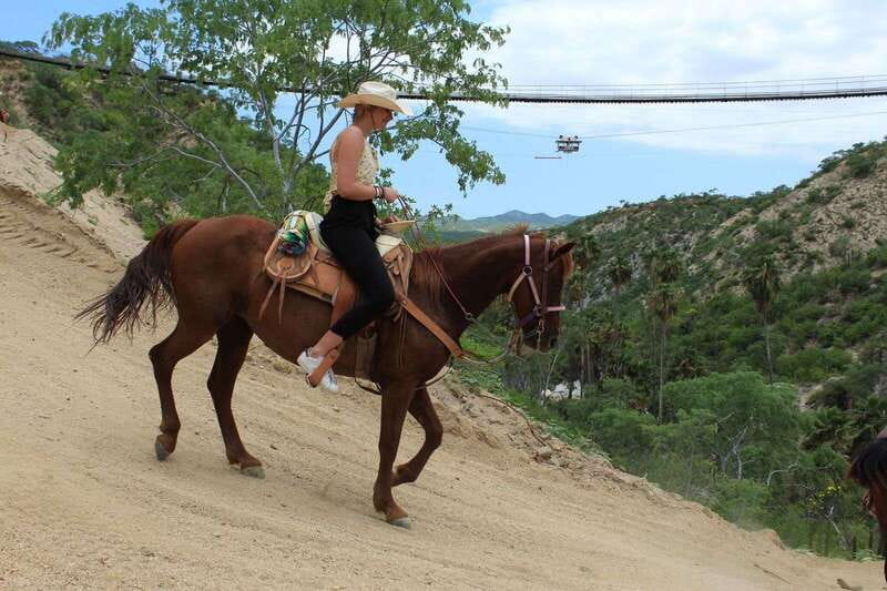 Los Cabos: Horseback Riding in Canyon a Mexican Experience - Meeting the Horses Before You Ride
