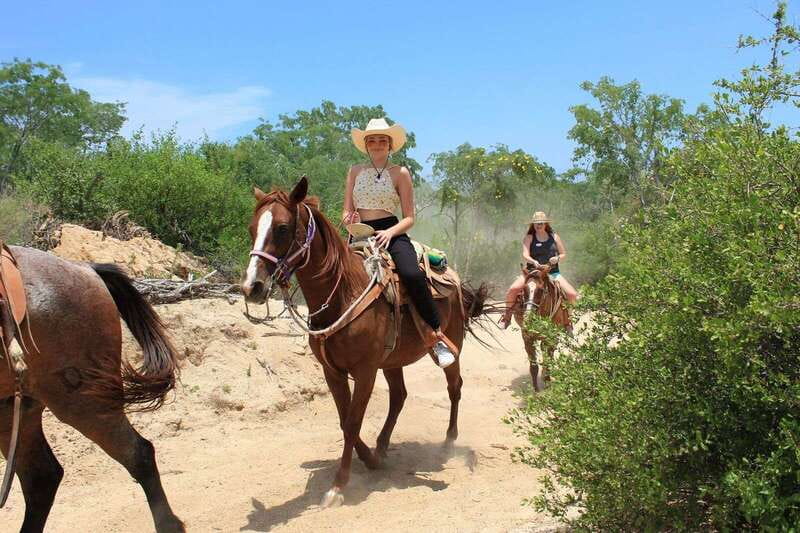 Los Cabos: Horseback Riding in Canyon a Mexican Experience - Lion’s Den Food and Drink Stop