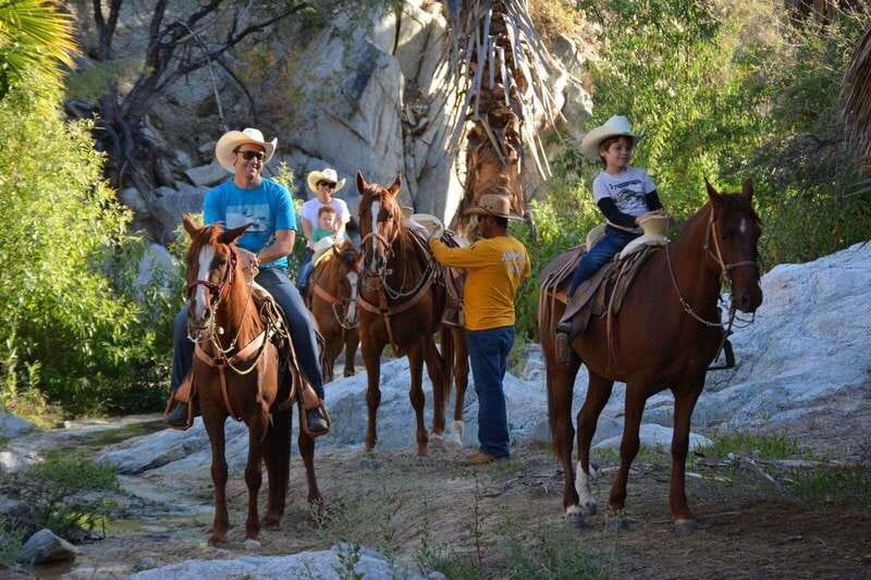 Los Cabos: Horseback Riding in Canyon a Mexican Experience - Pickup, Extra Fees, and the Real Price