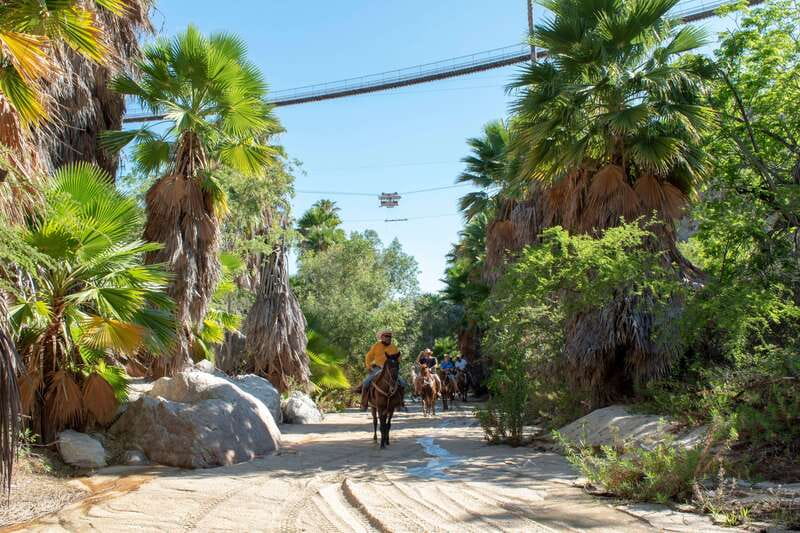 Los Cabos: Horseback Riding in Canyon a Mexican Experience - Who Will Enjoy This Best