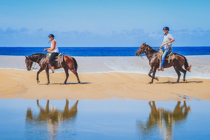 Los Cabos Horseback Riding - The desert route near Federal Highway 19