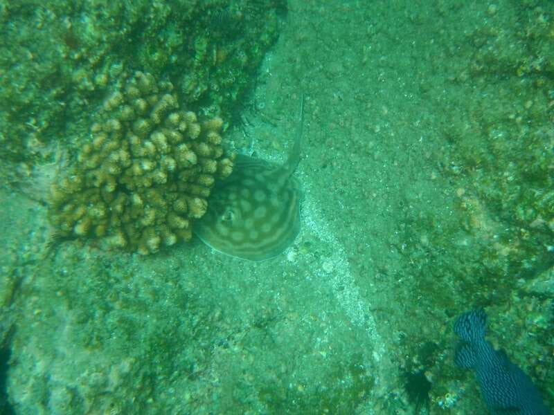 Los Cabos: Kayaking and Snorkeling in Two Pristine Bays - Practical details to sort out before booking