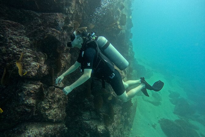 Los Cabos Open Water Diver Course - Who should take this course