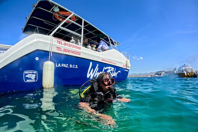Los Cabos Open Water Diver Course - Booking, cancellation, and small details that matter