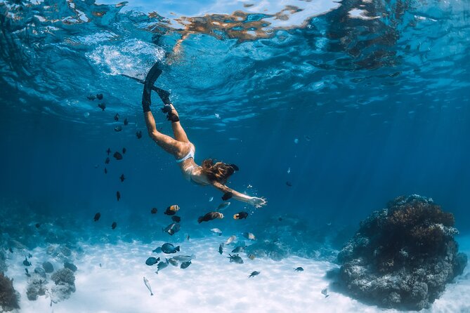 Los Cabos Power snorkel Adventure, Kayaking and Stand-Up Paddle - A fast ride from the marina to Chileno Bay