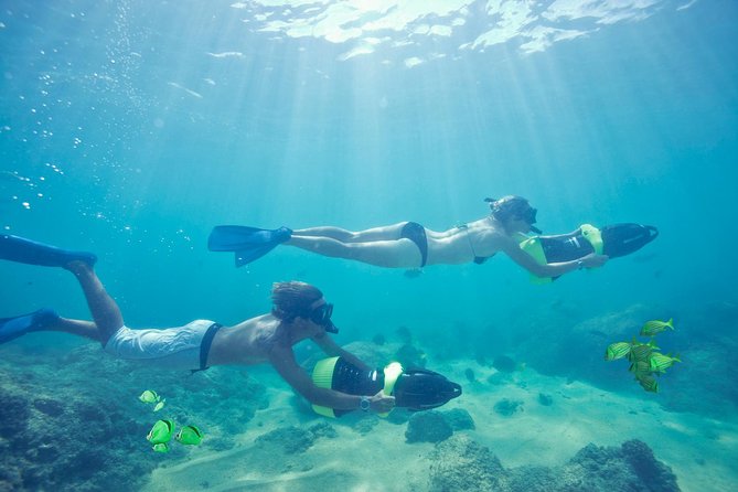 Los Cabos Power snorkel Adventure, Kayaking and Stand-Up Paddle - Is the $99 price good value?