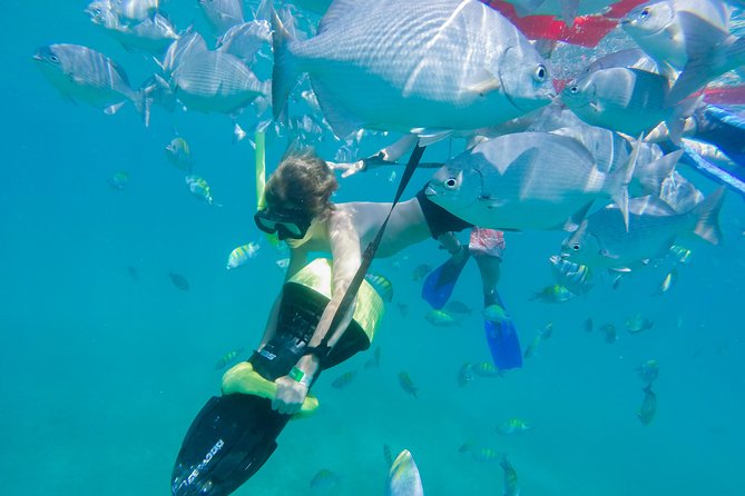 Los Cabos Power snorkel Adventure, Kayaking and Stand-Up Paddle - What the strongest guide service looks like