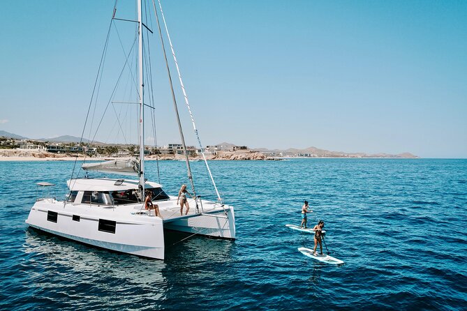 Los Cabos Seasonal Whale Watch and Snorkel Tour - Key points to know before you book