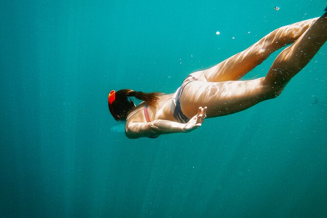 Los Cabos Seasonal Whale Watch and Snorkel Tour - Seeing Cabo’s Arch from the sea