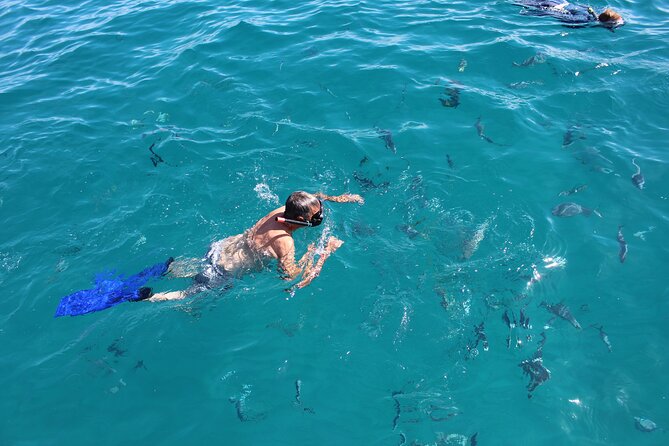 Los Cabos Snorkel & Pirate Ship Fun Adventure with Lunch - Cruising past Médano Beach and the marina