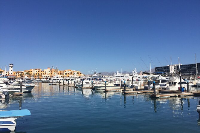 Los Cabos Snorkel & Pirate Ship Fun Adventure with Lunch - Group size, comfort, and who will enjoy it