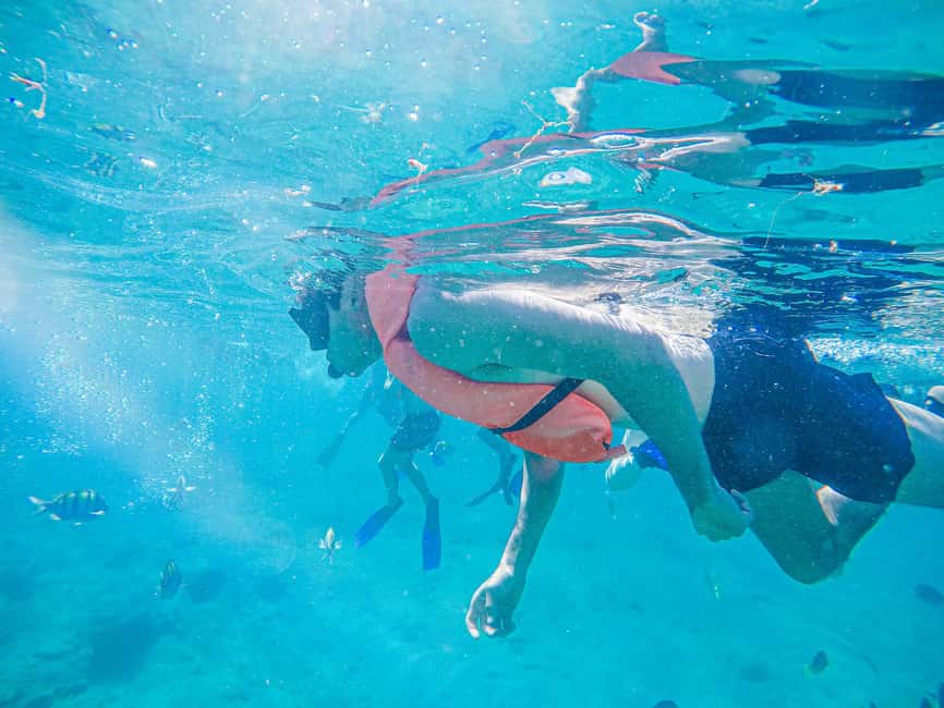 Los Cabos: Snorkeling Cruise with Lunch - Key points to know before booking