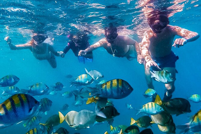 Los Cabos Snorkeling Tour by Speed Boat with Photos Included - Key points at a glance