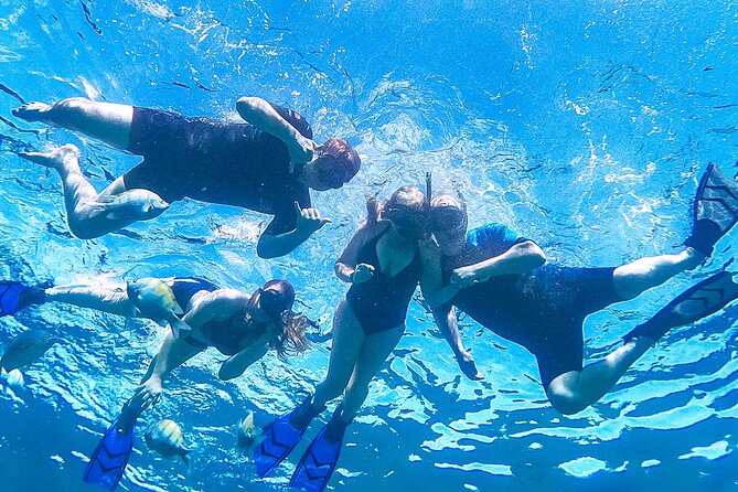 Los Cabos Snorkeling Tour by Speed Boat with Photos Included - What you might see beneath the surface
