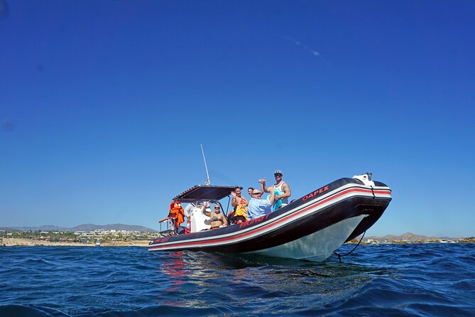 Los Cabos Snorkeling Tour by Speed Boat with Photos Included - Why the included photos matter