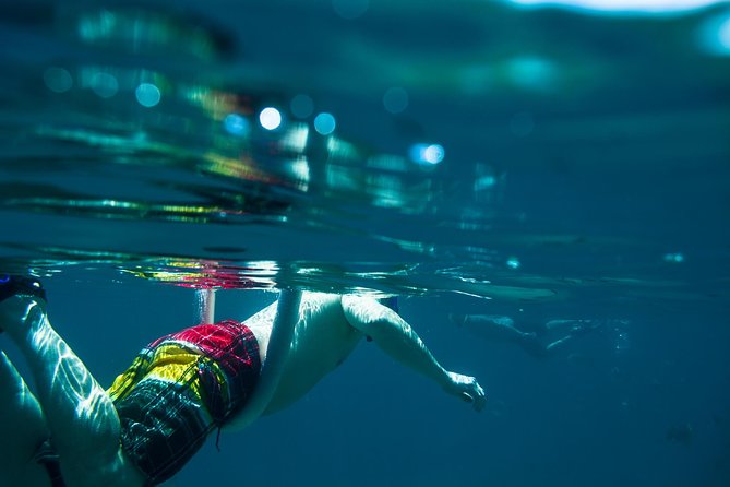 Los Cabos Snorkeling Tour to Chileno Bay and Santa Maria Cove - Timing, pickup, and the cruise-port meeting point