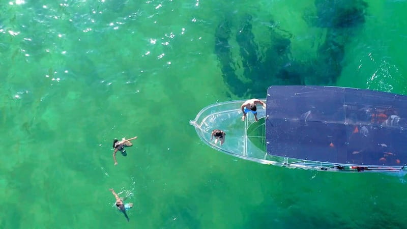 Los Cabos: Transparent Boat Tour with Optional City Tour - Should you book this Cabo boat tour?