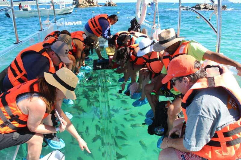 Los Cabos: Transparent Boat Tour with Optional City Tour - Land’s End, sea lions, and the Arch