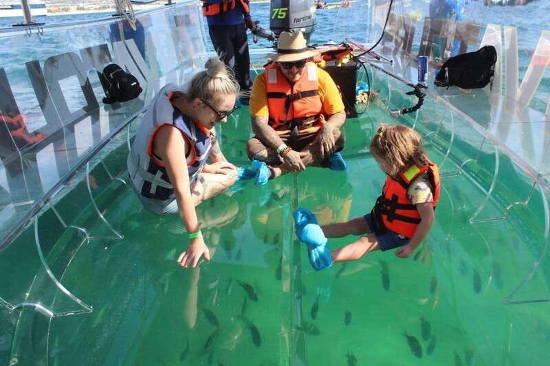 Los Cabos: Transparent Boat Tour with Optional City Tour - What the 50-minute boat trip feels like
